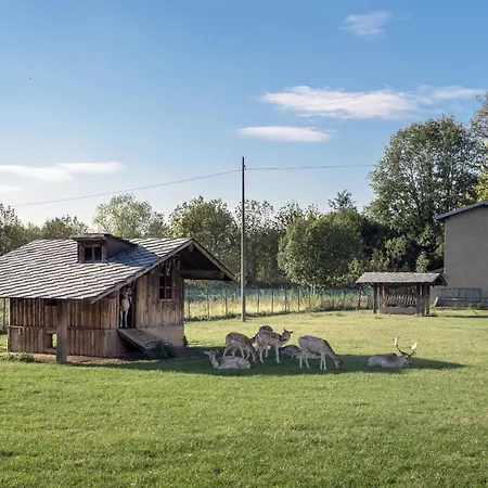 Apartmán Casetta Dei Daini *